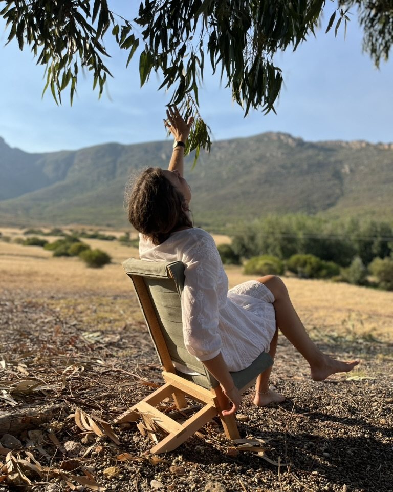 Beech folding chair with olive canvas